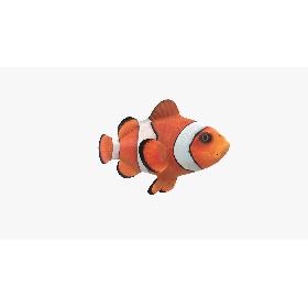 3D Clown Fish